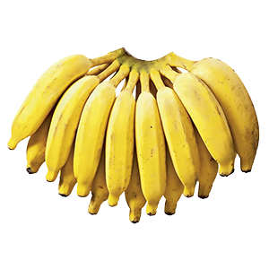 jbarnabe-distribuidora-de-hotifruti-banana-prata