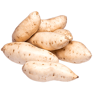 jbarnabe-distribuidora-de-hotifruti-batata-doce