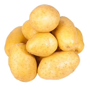 jbarnabe-distribuidora-de-hotifruti-batata