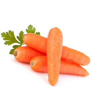 jbarnabe-distribuidora-de-hotifruti-cenoura