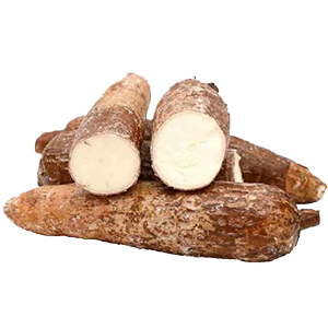 jbarnabe-distribuidora-de-hotifruti-mandioca