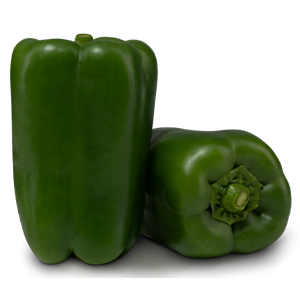 jbarnabe-distribuidora-de-hotifruti-pimentão-verde