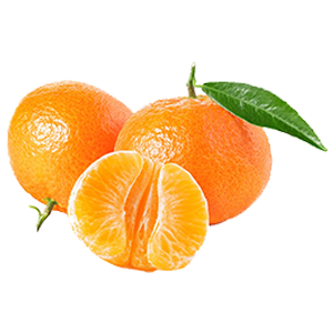 jbarnabe-distribuidora-de-hotifruti-ponkan