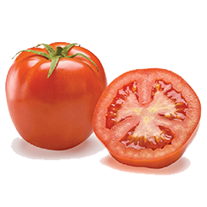 jbarnabe-distribuidora-de-hotifruti-tomate-débora