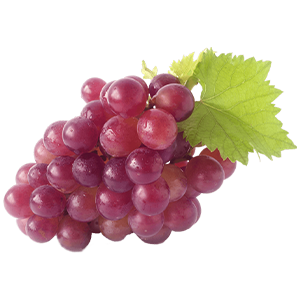 jbarnabe-distribuidora-de-hotifruti-uva-niagara